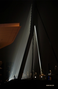 「Erasmusbrug」也被稱為「天鵝」，是鹿特丹的一座主要橋樑。（攝影：舞蹈演員馮岳超）
