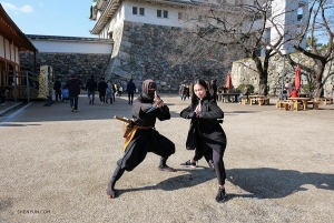 Vũ đạo Trung Hoa cổ điển và võ thuật Trung Hoa là huynh đệ thất lạc nhau đã lâu, hãy hỏi Nghệ sĩ múa chính Michelle Lian và chàng ninja này về điều đó