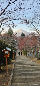 Saat hari mulai memudar, puncak Gunung Fuji yang tertutup salju menikmati sinar keemasan matahari yang terakhir.