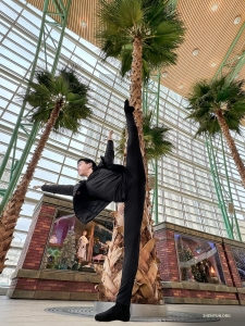 Bên kia Thái Bình Dương, một vũ công tạo dáng ấn tượng, phản chiếu vẻ duyên dáng cao chót vót của những cây cọ tại Trung tâm Biểu diễn Nghệ thuật Schuster của Dayton Ohio.